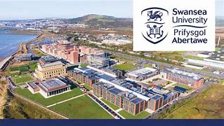 Swansea University